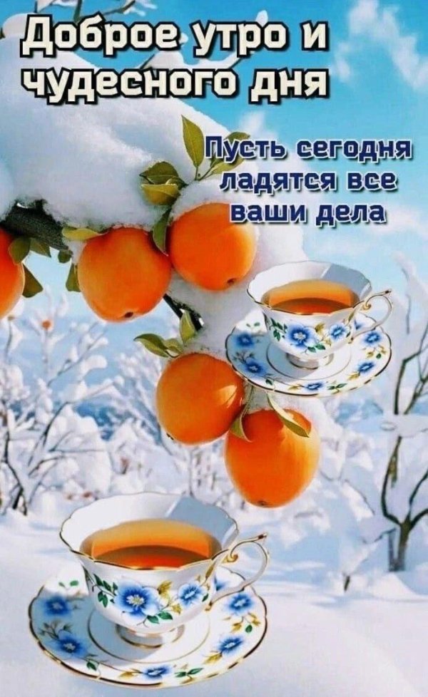 доброго утра зима