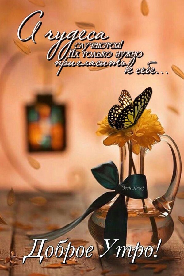необычные поздравления с добрым утром