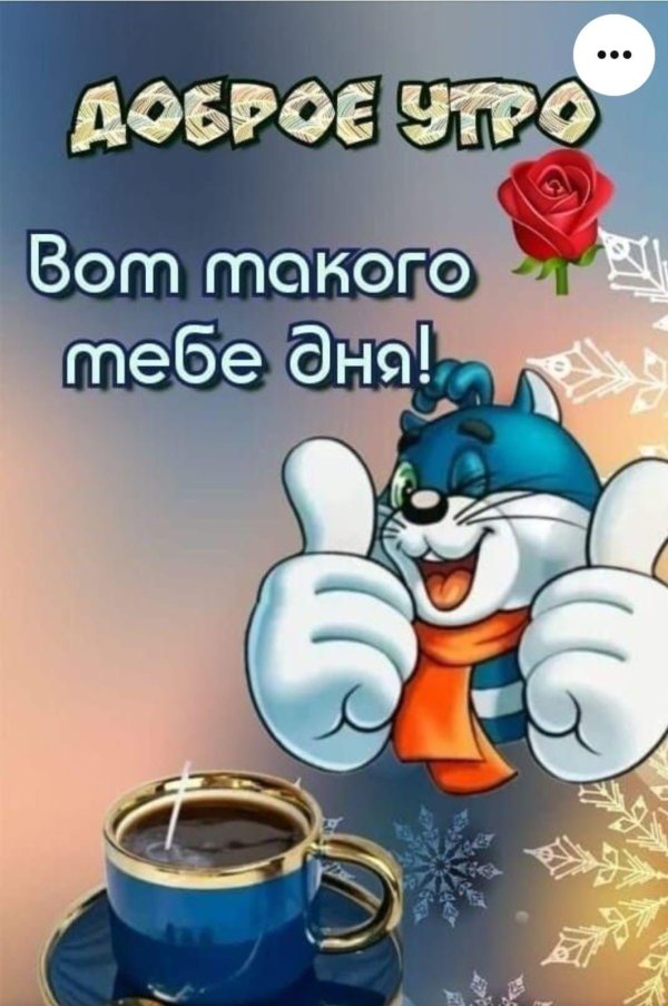 доброе утро день