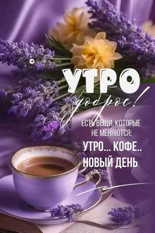 Утро доброе новые