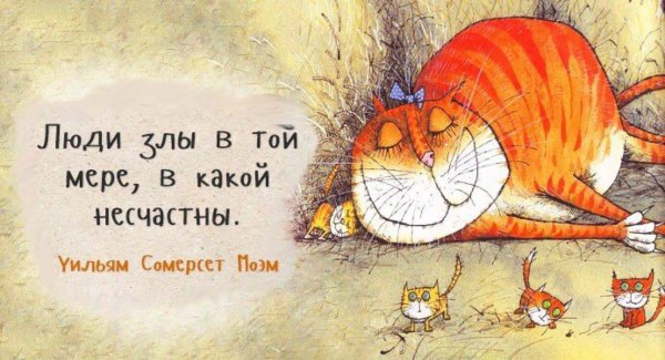 виктория кирдий коты