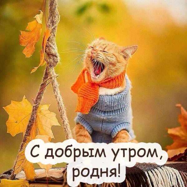 доброе утро сынок взрослому