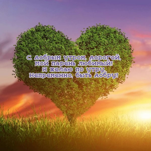 дерево сердце