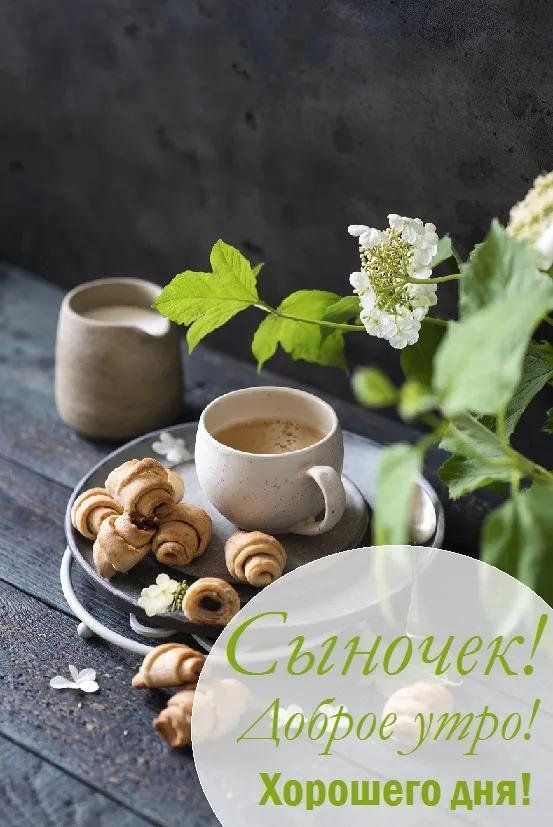 доброго утра сынок