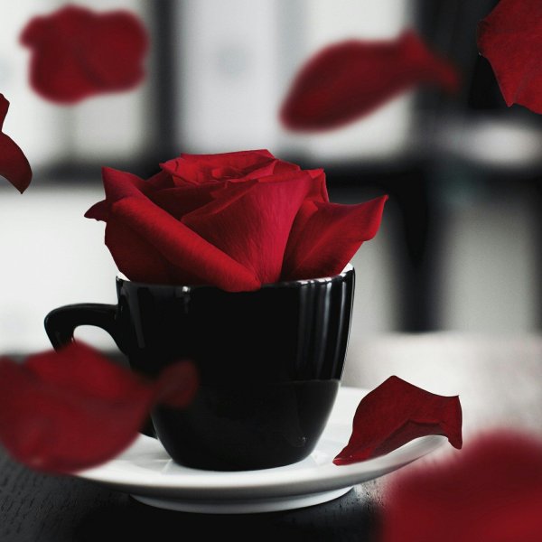 красная чашка кофе