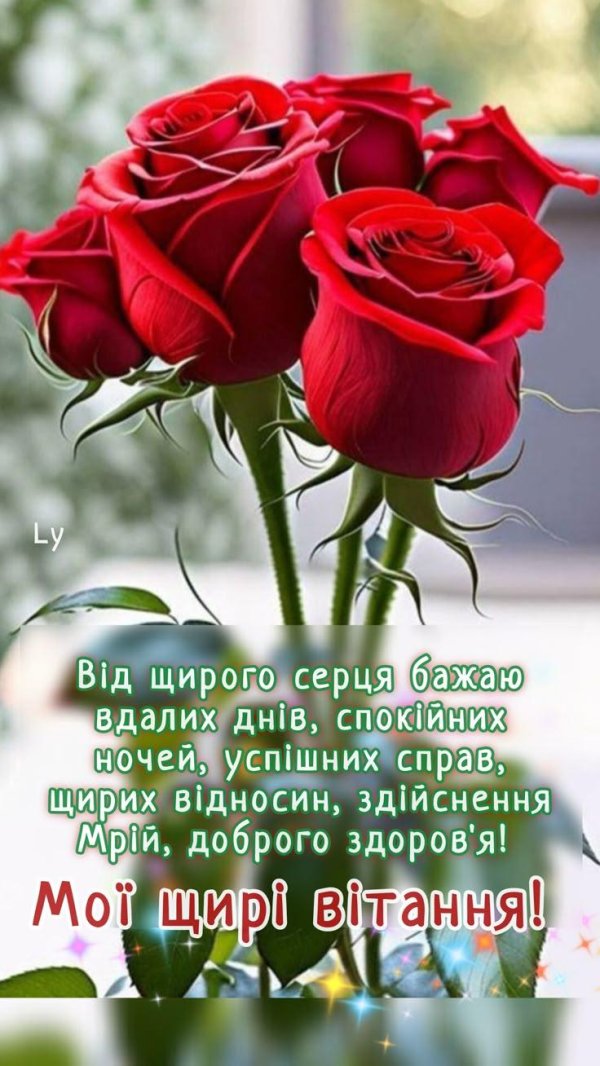 роза красивая