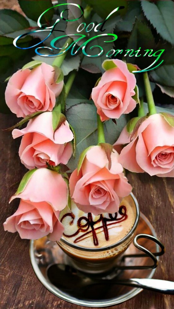 доброго утра с розами