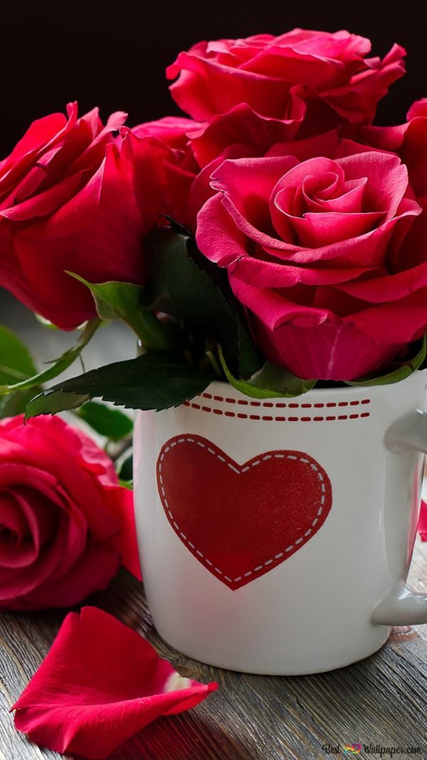 доброго утра любимая