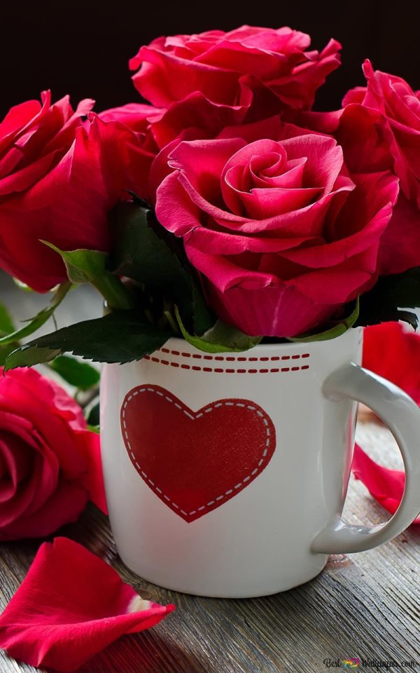 лучшие розы