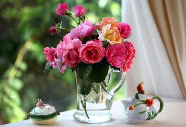 цветок в вазе