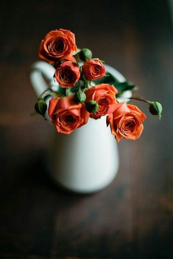 оранжевые цветы