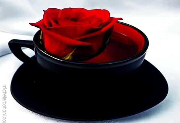 чашка красная роза