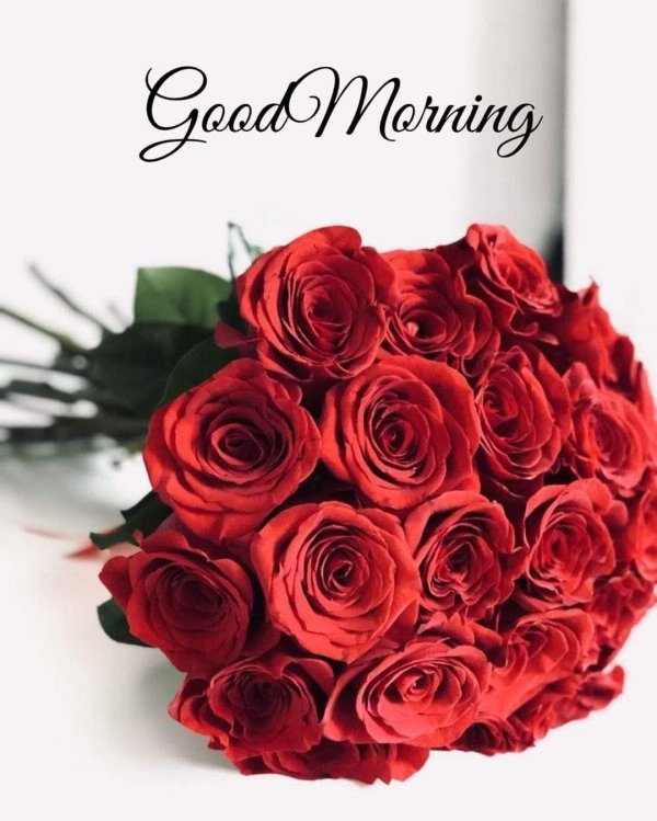 красивые букет роз