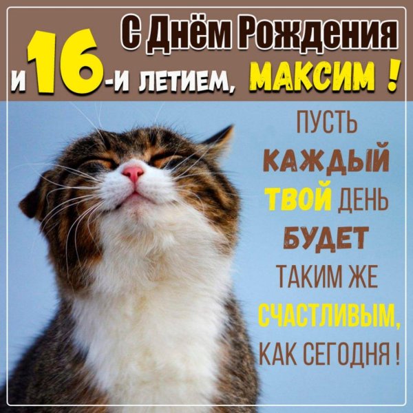 кот счастлив