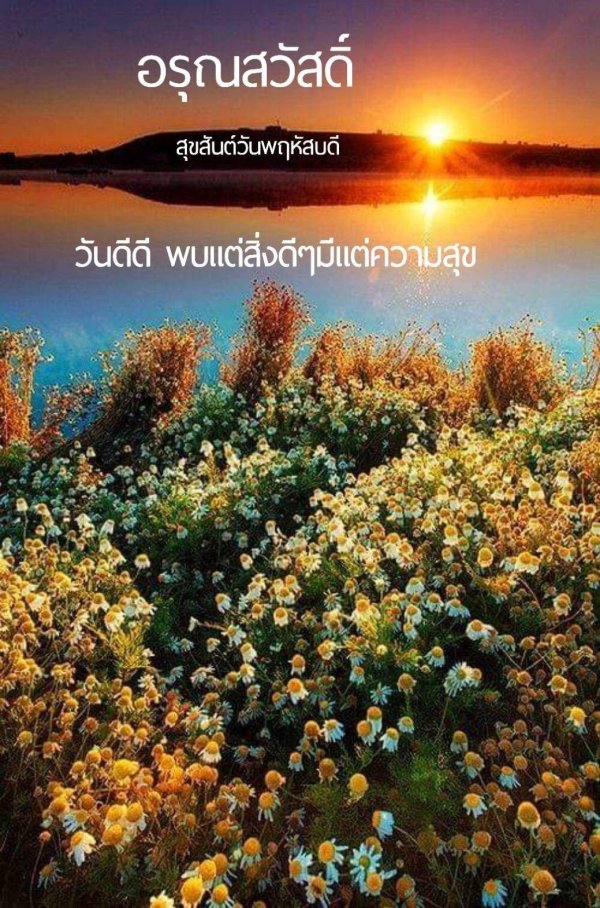 красивые рассветы