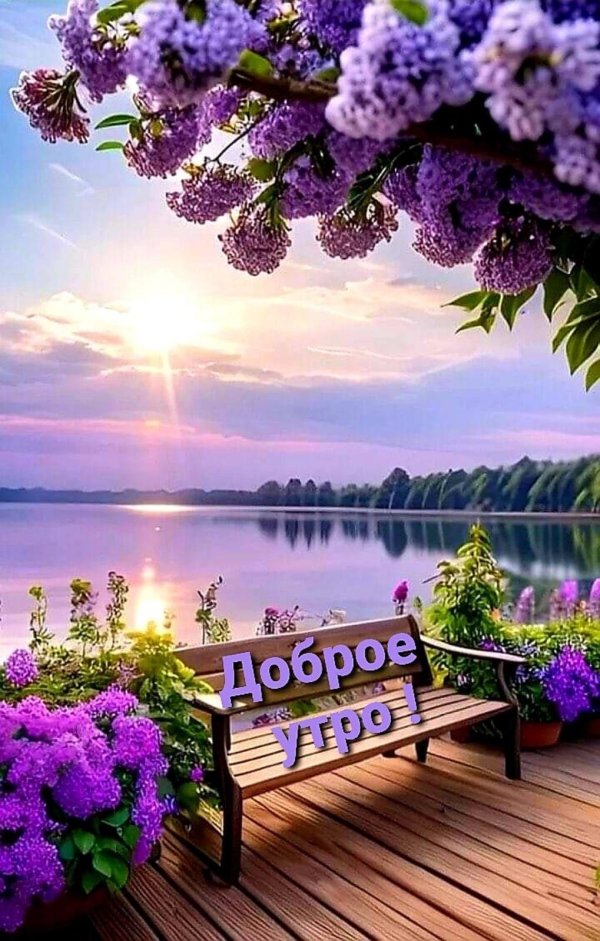 доброго утра природа