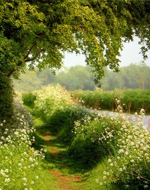 тропинка в лес