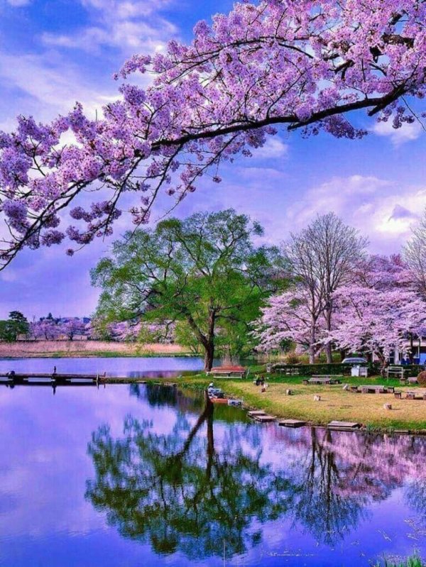 весна пейзаж