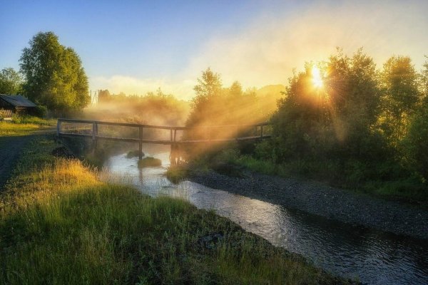 вепсский лес тихвин
