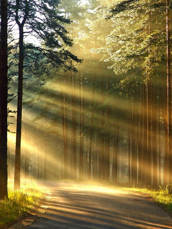 лучами солнца