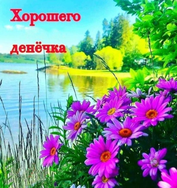 добрый день лето открытки