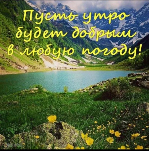 с добрым утром природа