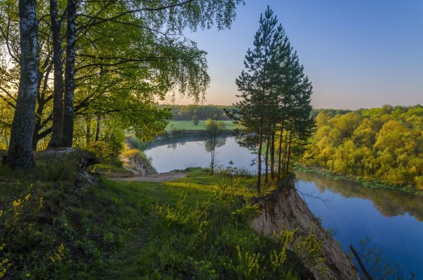 природа брянской области