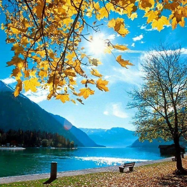 доброго утра осени