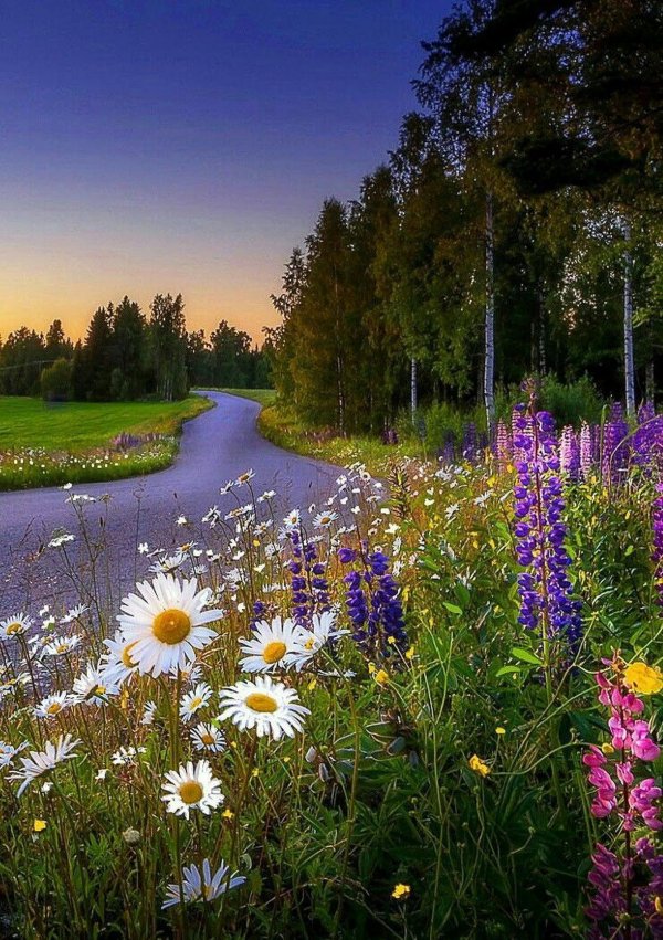 фотопейзажи сергея краева