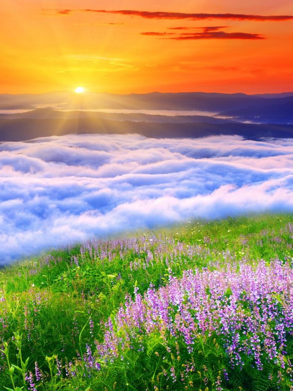 солнечное небо