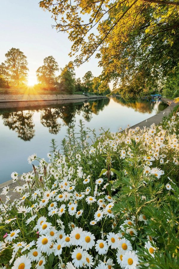 пейзажи летние
