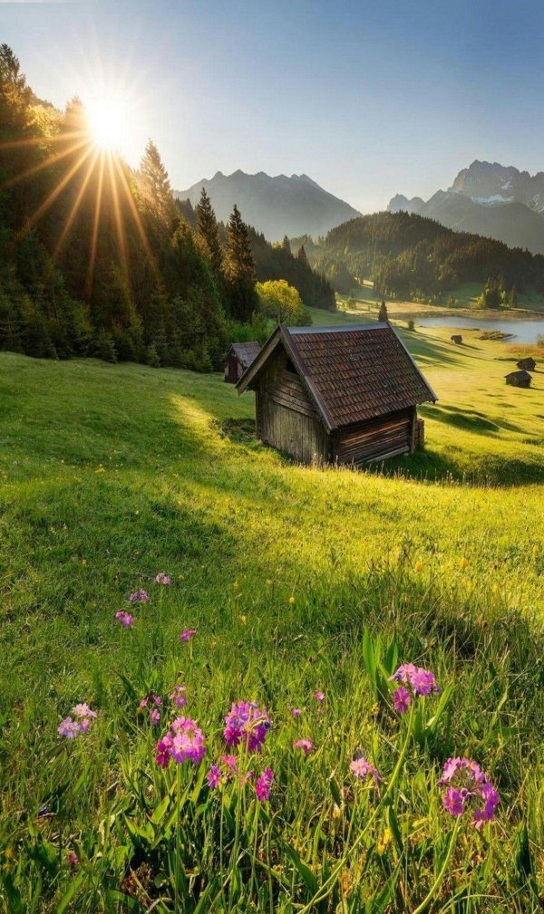 альпийские луга швейцария