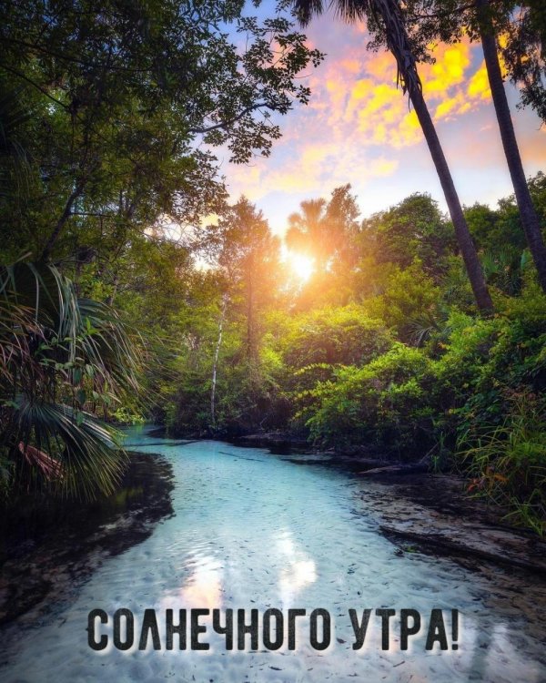 с добрым утром природа