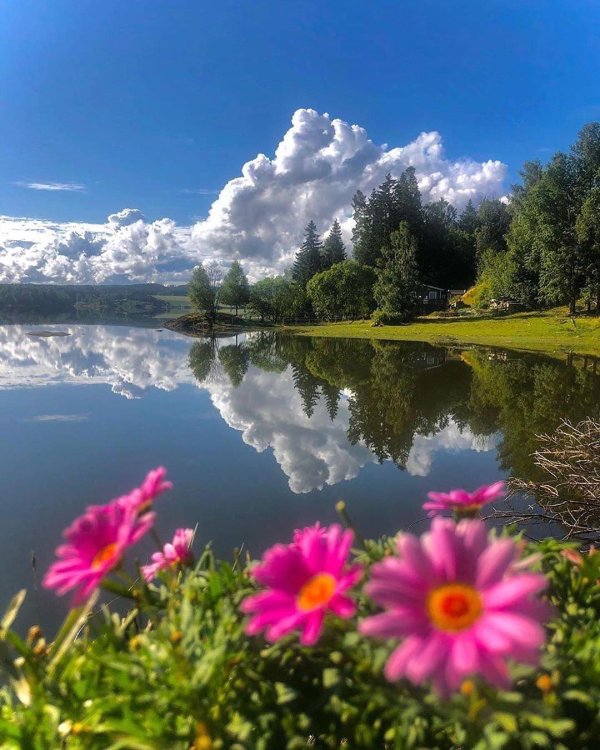 красивый пейзаж лето