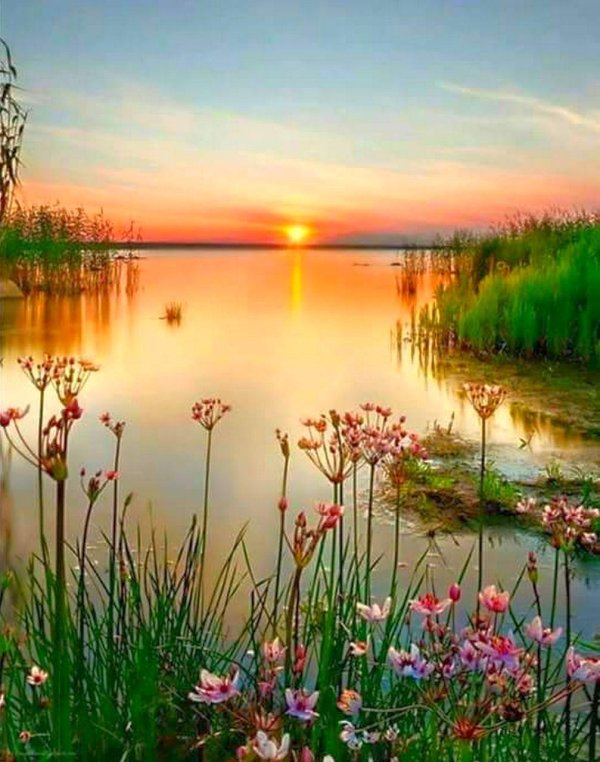 пейзажи картины