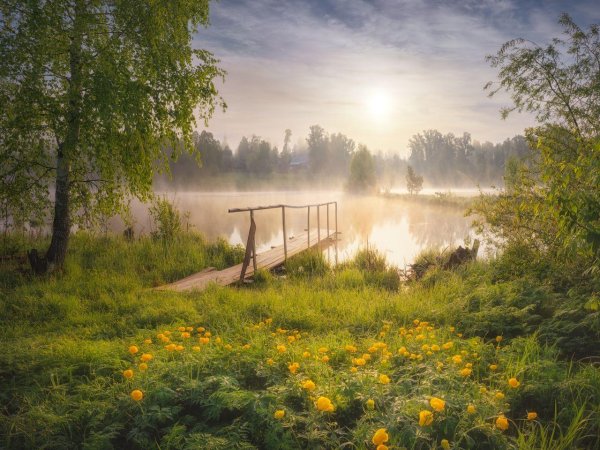 летнее утро