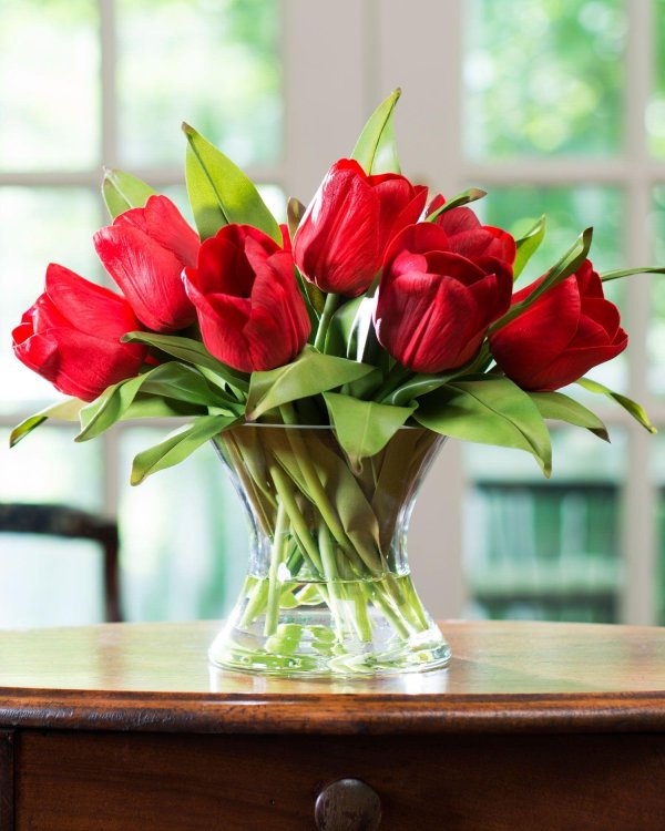 тюльпан в вазе