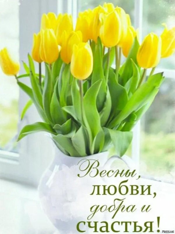 доброго утра весна