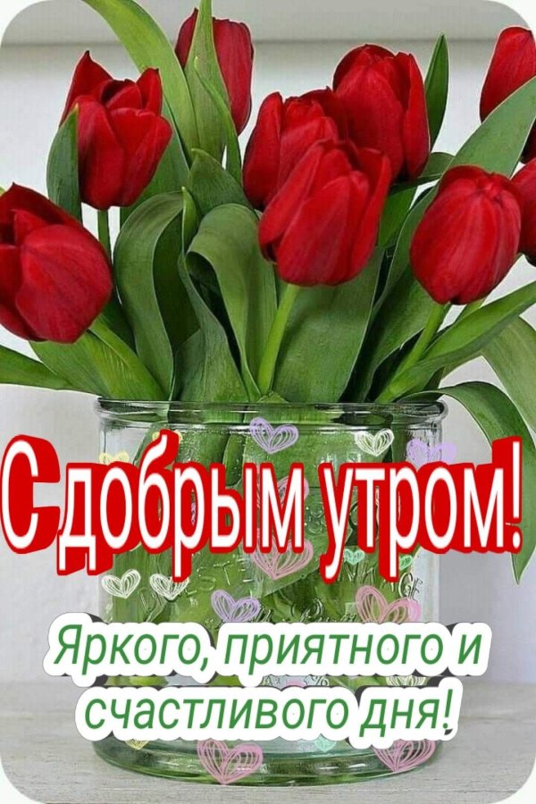 букет тюльпанов