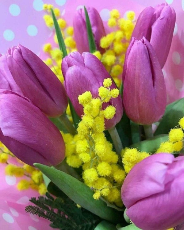 весенние цветы