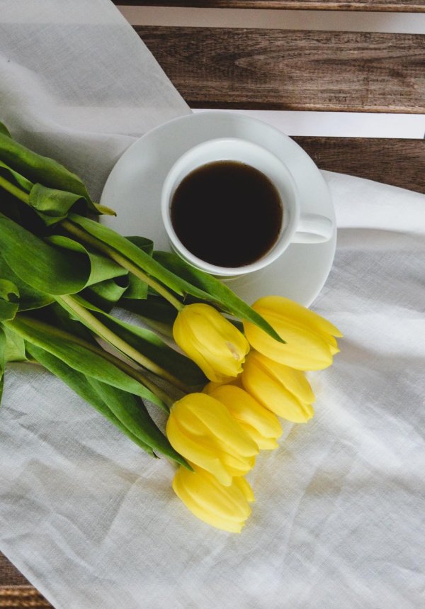 доброе утро желтые цветы