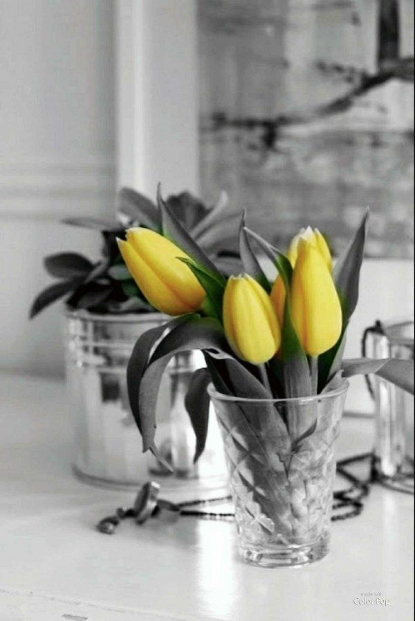 букет желтых тюльпанов