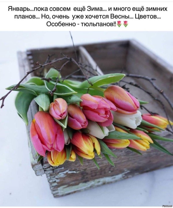 хочется весны