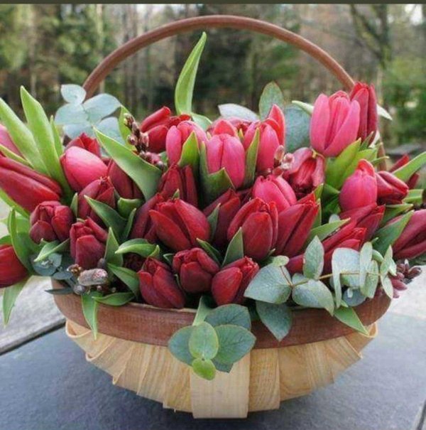 букет из тюльпан