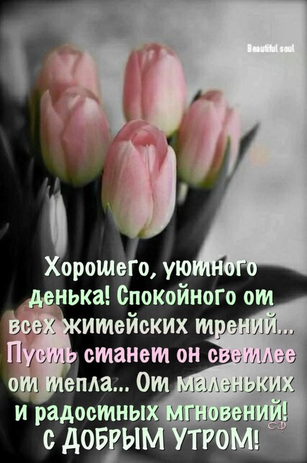 хорошего уютного денька спокойного от всех житейских трений открытки