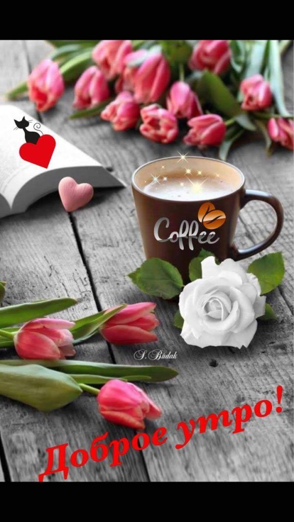 чашка кофе и цветы