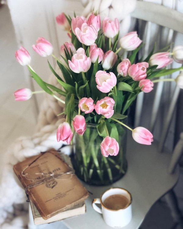 тюльпаны инстаграм