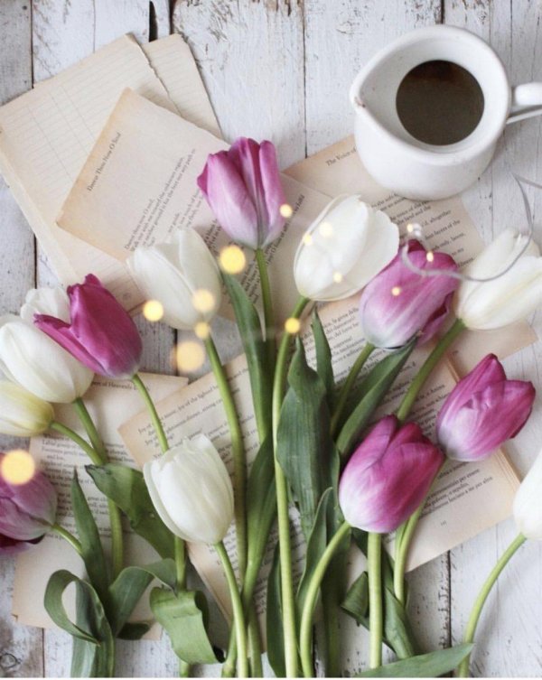 утро кофе цветы