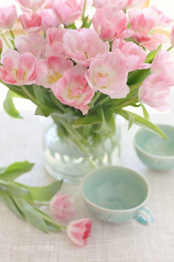 нежные цветочки