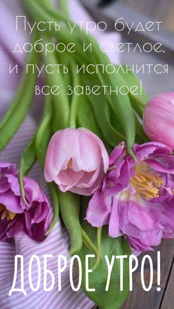 с добрым весеннем утром